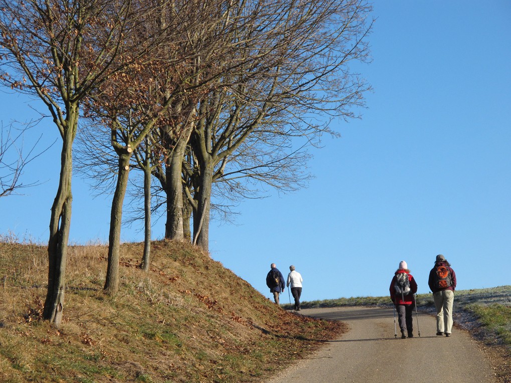 four Centrepoint members walking up a quiet road on a gentle hill on a bright sunny day